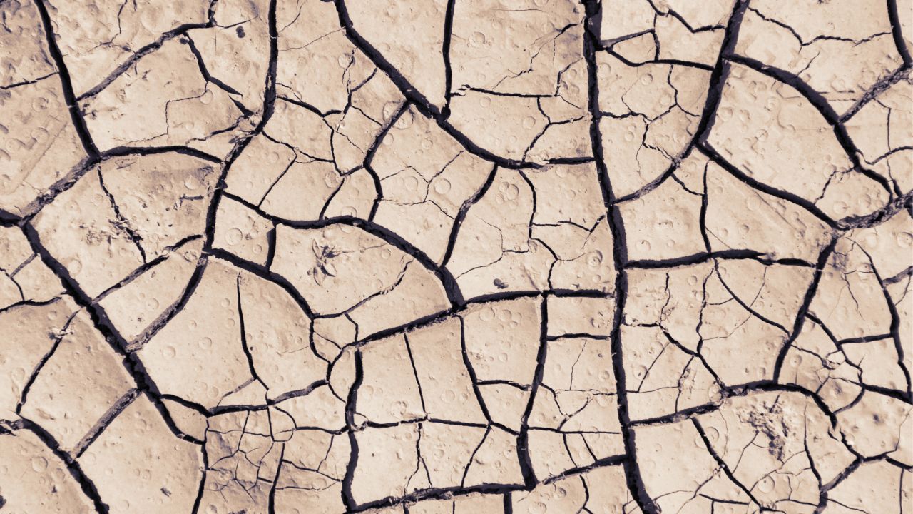 Pelle secca e disidratata | Rimedi naturali e skincare Lagalene